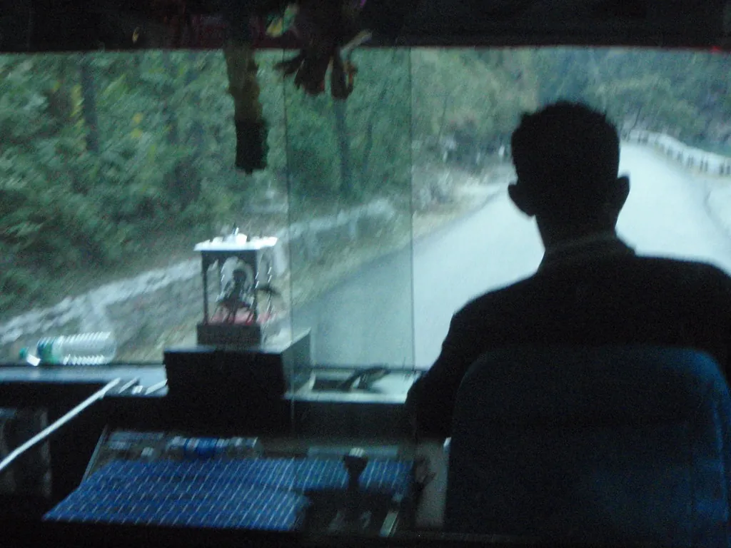 Conductor profesional al volante